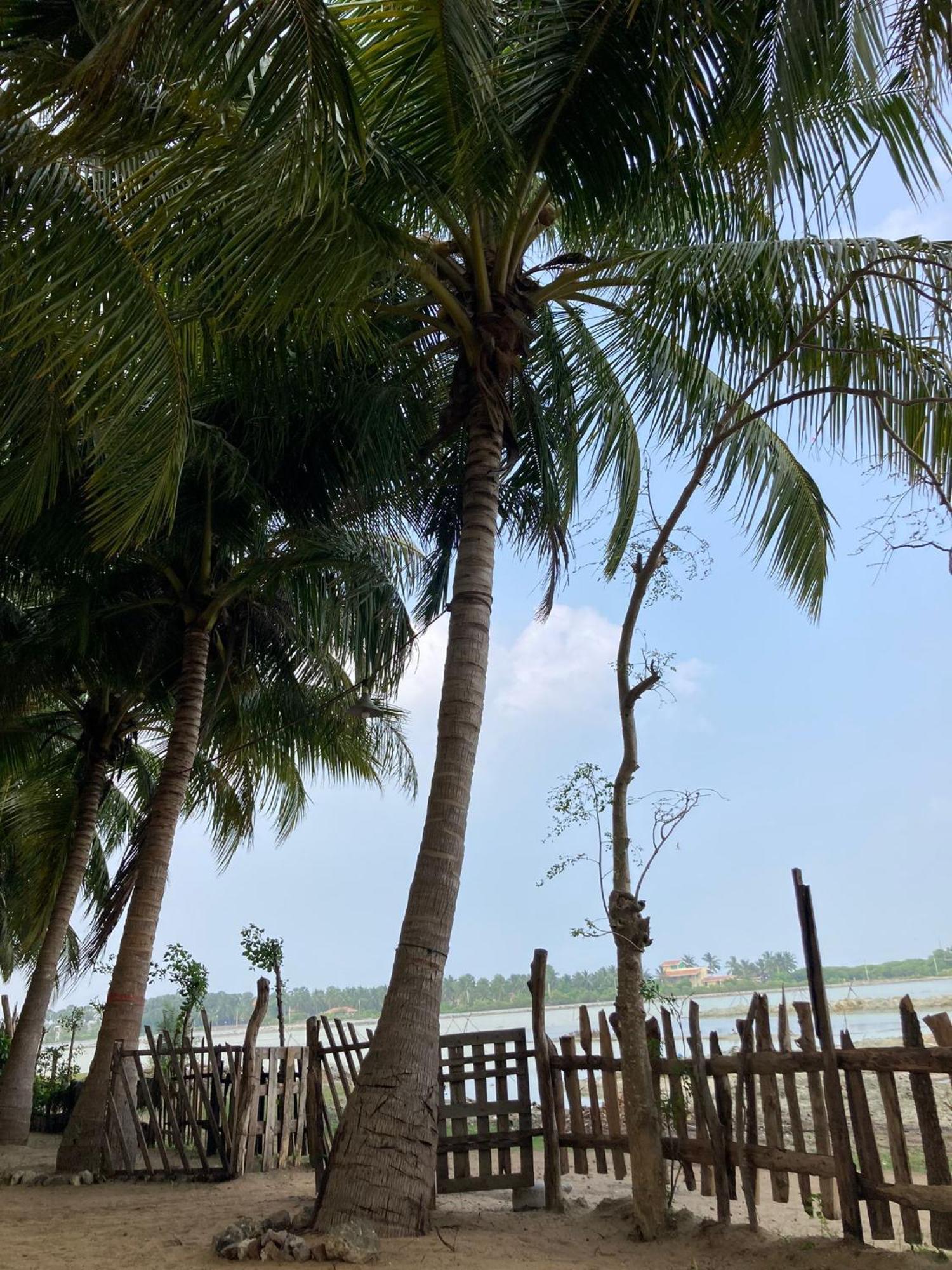 Kite Bay Villa Kalpitiya Exterior photo