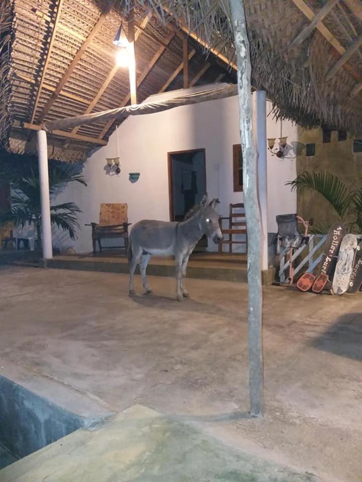 Kite Bay Villa Kalpitiya Exterior photo