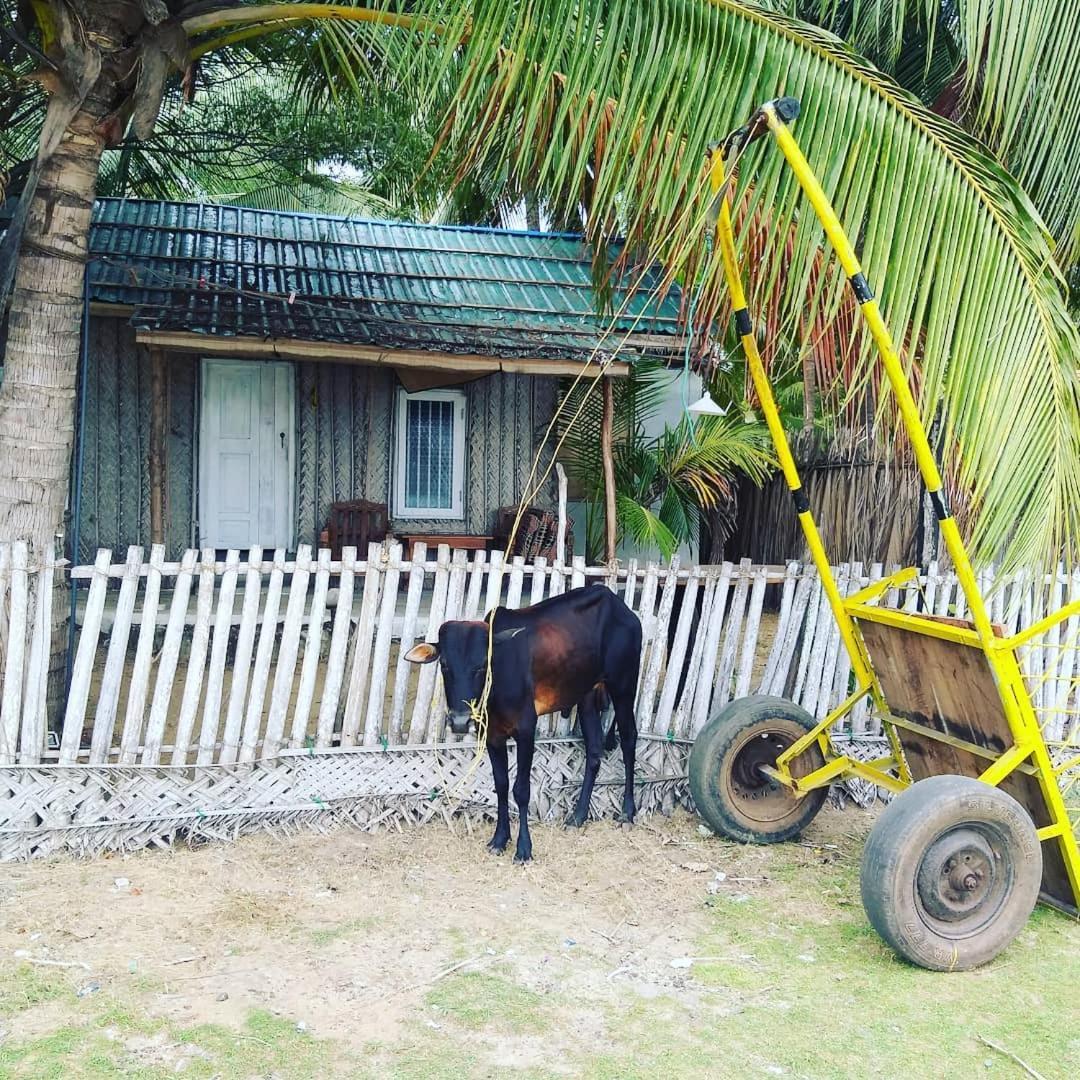 Kite Bay Villa Kalpitiya Exterior photo