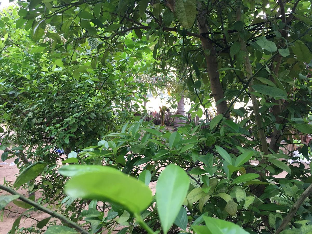 Kite Bay Villa Kalpitiya Exterior photo